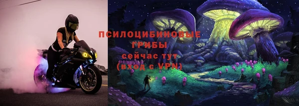 дмт Алзамай