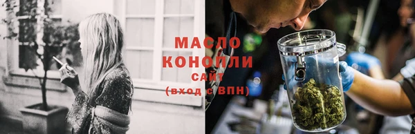 дмт Алзамай