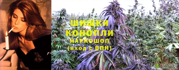 дмт Алзамай