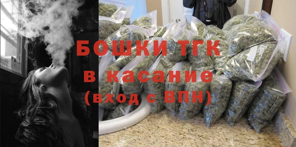 гидра Кинешма